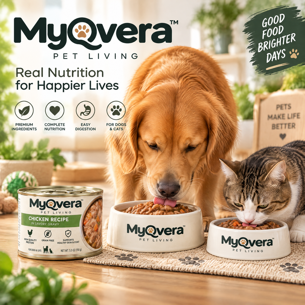 Myqvera™ Chicken Recipe Wet Pet Food in Savory Gravy