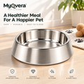 Myqvera™ Premium Stainless Steel Pet Bowl